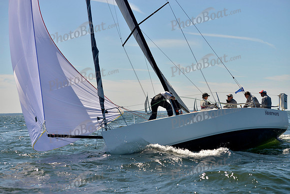 2017 Vineyard Race A_0578
