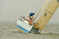 2016 Southern Bay Race Week A_0467