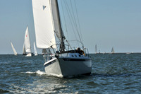 2010 Leukemia Cup 428