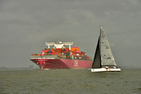 2019 Charleston Race Week B_0349