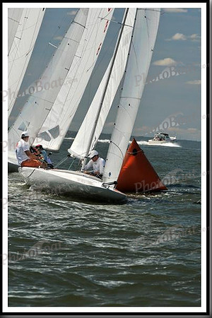 proof_2010_EScows_D 999