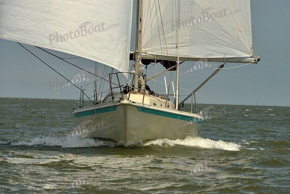 2016 Southern Bay Race Week B_0212