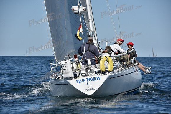 2019 Marblehead to Halifax A_2021