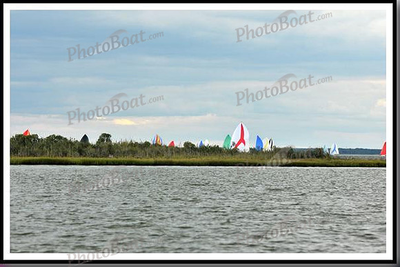 proof_2010_EScows_C 112