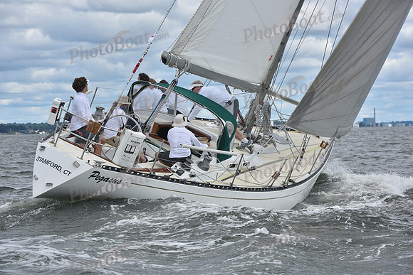 2021 Vineyard Race A 0289
