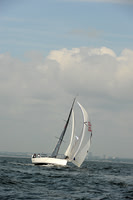 2013 Vineyard Race A 704