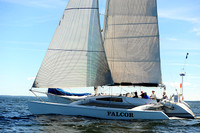 2014 Vineyard Race A 1547