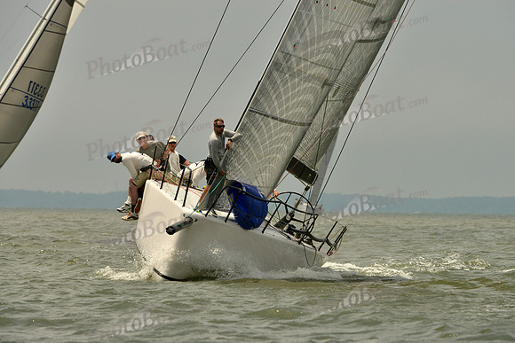 2016 Southern Bay Race Week A_0984