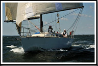 proof_2010_Vineyard_Race_0387