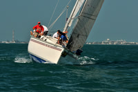 2011_KeyWestRaceWeek_C 935