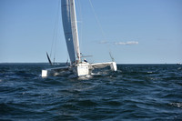 2021 Vineyard Race B 2196