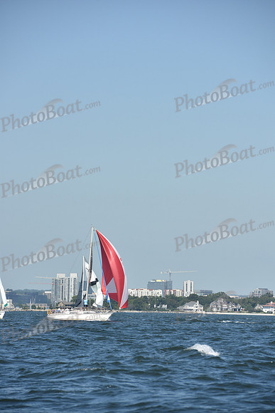 2019 Vineyard Race A_0209