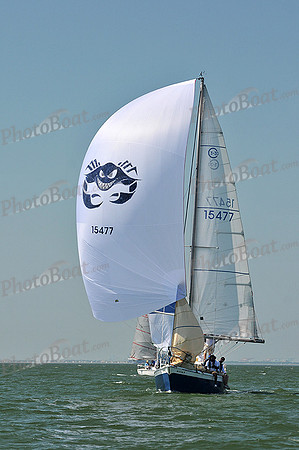 2013 Southern Bay Race Week C 833