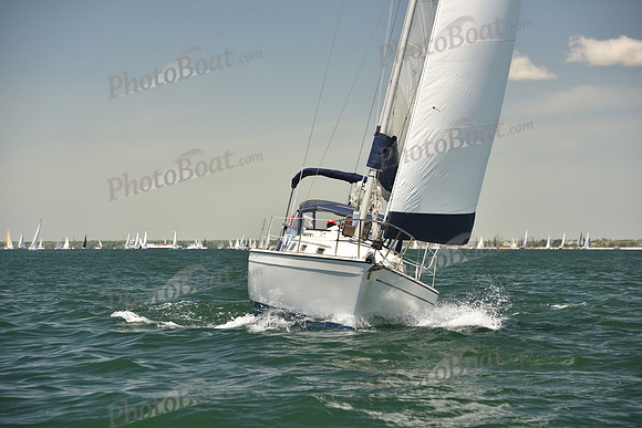 2024 Figawi 0101