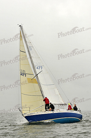 2014 Southern Bay Race Week A 292