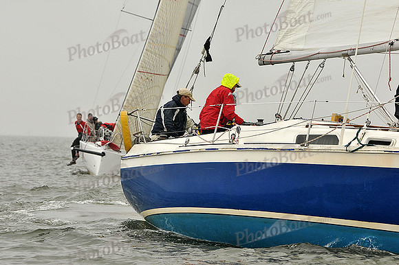 2014 Southern Bay Race Week A 298