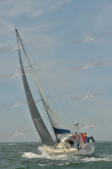 2018 Figawi_0979