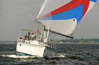 2013 Vineyard Race A 529