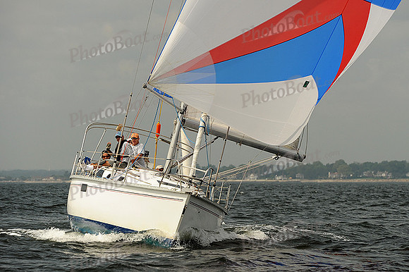 2013 Vineyard Race A 529