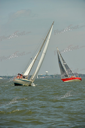 2016 Southern Bay Race Week F_1195