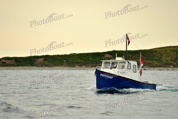 2016 Chester Race Week E_0210