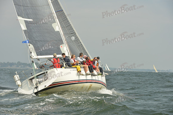 2015 Vineyard Race A 517