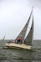 DBP_1178