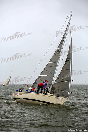 DBP_1178