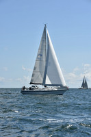 Shearwater
