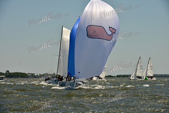 2016 Charleston Race Week F_0540