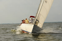 2011 Gov Cup A 1253