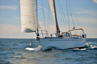 2017 Vineyard Race A_0509