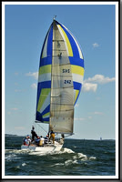 proof_2010_Vineyard_Race_0458