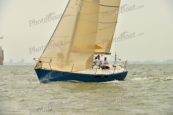 2016 Southern Bay Race Week A_0493