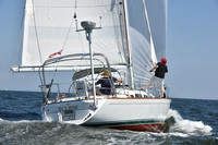 2020 Vineyard Race A_0778