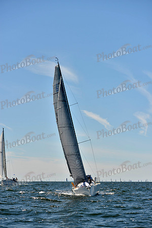 2017 Vineyard Race A_0534