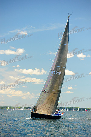 2014 Newport Bermuda A 513