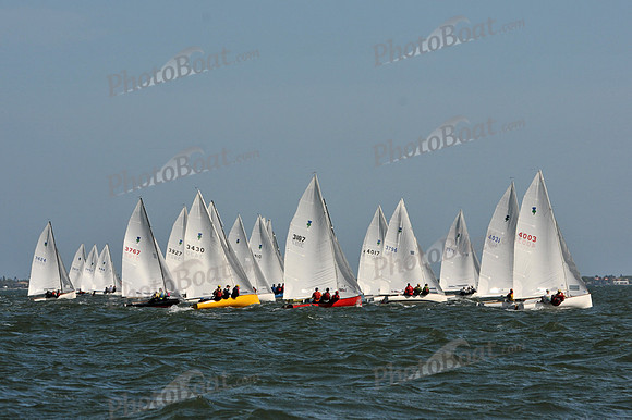 2012 Thistle Midwinters B 482