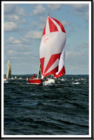 proof_2010_Vineyard_Race_0583