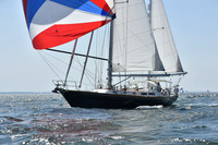 2019 Vineyard Race A_1894