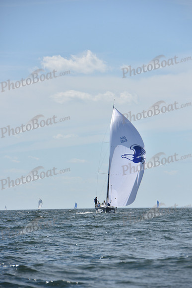 2020 Vineyard Race A_1715