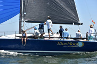2019 Vineyard Race A_2255