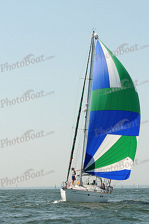 2012 Vineyard Race A 494