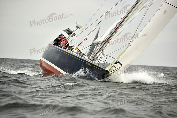 2018 Vineyard Race A_2990