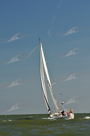 2014 Southern Bay Race Week D 329
