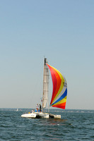 2012 Vineyard Race A 556