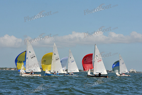 2012 Thistle Midwinters C 343