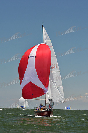 2014 Southern Bay Race Week C 1881