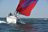 2019 Vineyard Race A_0807