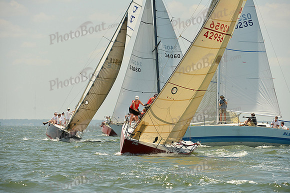 2015 Southern Bay Race Week A 301